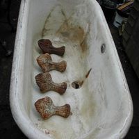 French Empire Double-Ended Bath c.1870