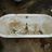 P1000169_small