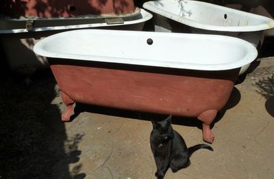 French Double-Ended 'Shell and Claw' foot Bath C.1900