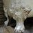 Dscn1848_small