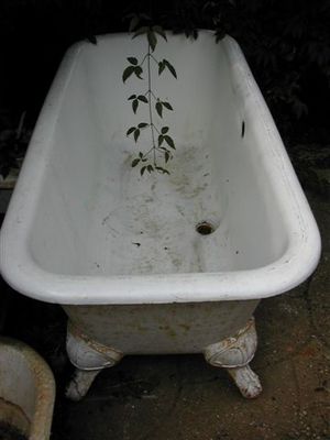 Art Nouveau Foot 'Roman' Double-Ended Bath with Central Waste c.1900